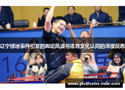 辽宁球迷事件引发的舆论风波与体育文化认同的深度反思