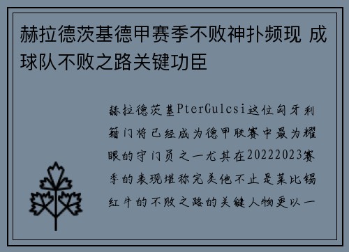 赫拉德茨基德甲赛季不败神扑频现 成球队不败之路关键功臣